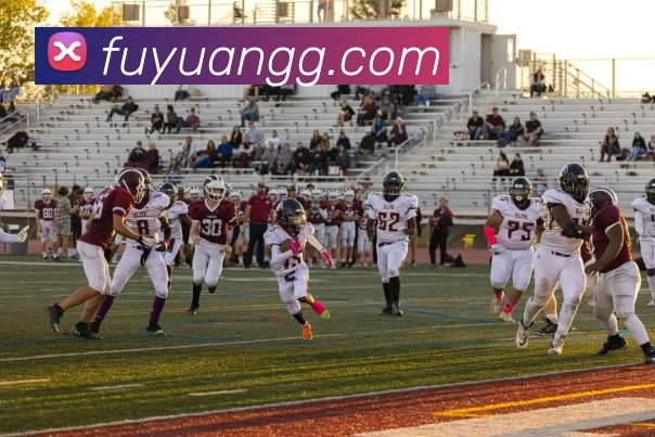 九游体育APP 高清赛事图